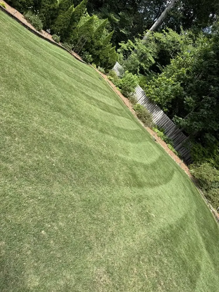 Steeply sloped side lawn mowed in curved stripes that follow the grade, with a mulched bed edge running along a wooden fence and evergreens