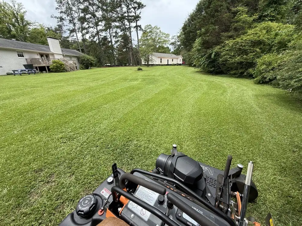 Large open backyard mowed in wide even stripes, bordered by pines and hardwoods, shot from the operator platform of the mower